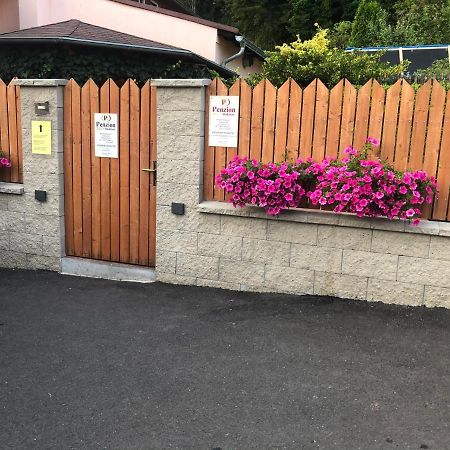 Penzion Radošov ubytování v soukromí Kyselka  Exterior foto
